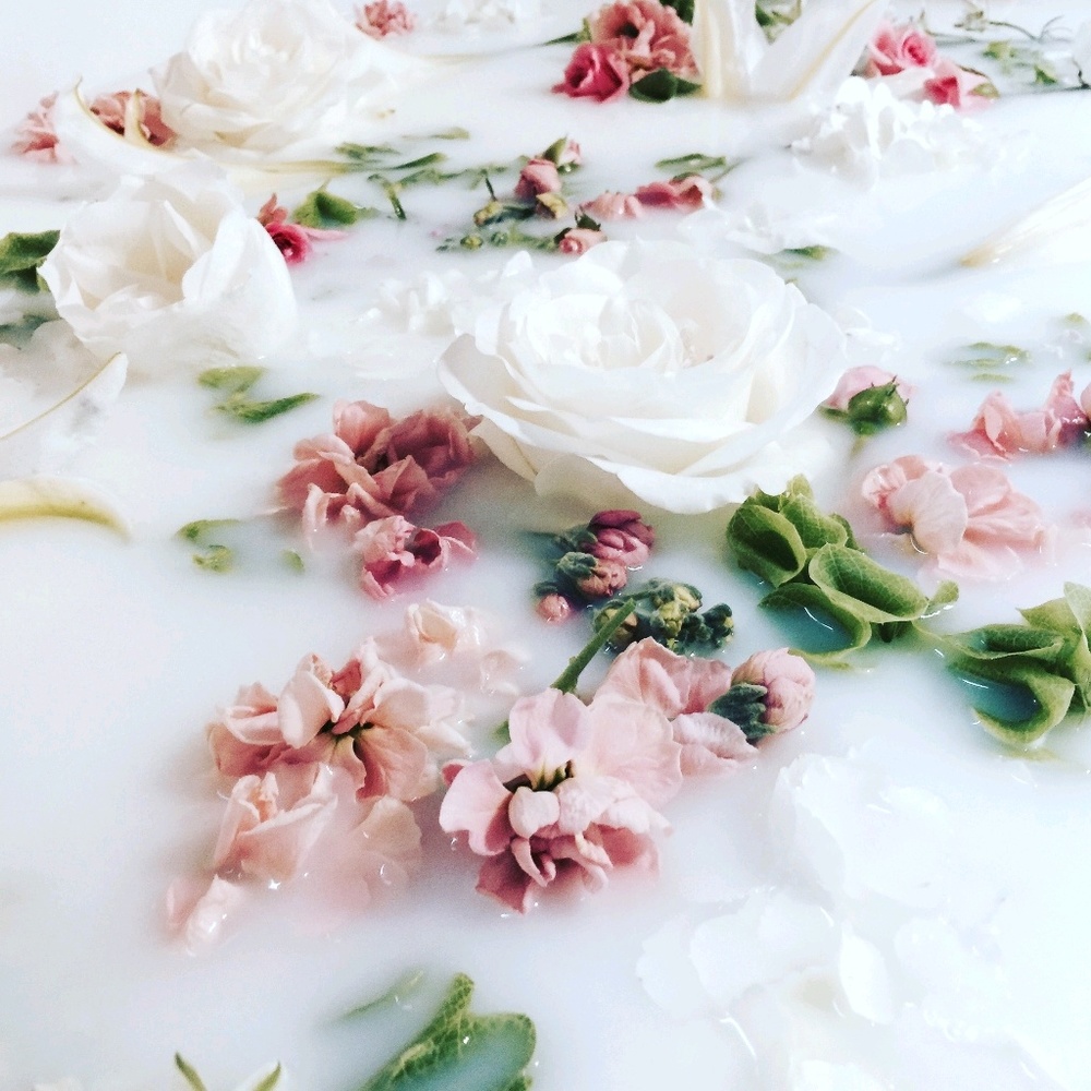 Meet your Posher, Brigitta